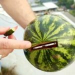 iPhone Air Drop Test Begins With a Wild Watermelon Stunt