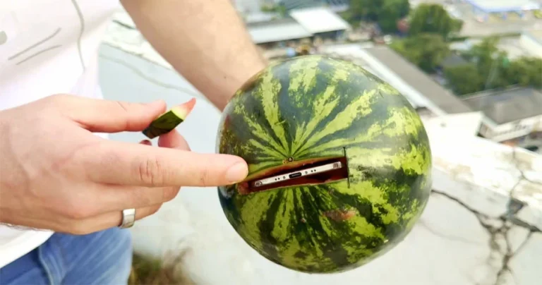 iPhone Air Drop Test Begins With a Wild Watermelon Stunt